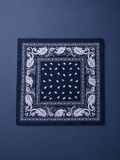 Night Rider - Black Bandana